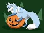 anatomically_correct animal_genitalia animal_penis blue_body blue_fur bodily_fluids cum cum_in_pumpkin ejaculation feral food food_fetish food_penetration food_play fruit fur genital_fluids genitals improvised_sex_toy jack-o'-lantern male masturbation penetrating_pumpkin penis plant pumpkin pumpkin_masturbation scar solo tongue tongue_out championwhoops_(artist) akito_(akitoe) canid canine fox mammal