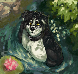 anthro black_body black_collar black_eyewear black_fur black_glasses black_hair black_nose collar eyewear fur glasses hair male rock solo water yellow_eyes limbo6_6 limbo_(limbo6_6) border_collie canid canine canis collie domestic_dog herding_dog mammal pastoral_dog sheepdog oil_painting_(artwork) painting_(artwork) traditional_media_(artwork) traditional_painting_(artwork)
