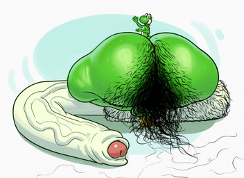 balls big_balls big_butt big_penis bodily_fluids body_hair butt butt_hair clothing excessive_body_hair excessive_hair footwear foreskin genitals hairy hairy_balls huge_balls huge_butt huge_penis hyper hyper_balls hyper_butt hyper_genitalia hyper_penis hyper_pubes long_penis looking_back male nude penis shoes solo stray_pubes sweat sweatdrop sweaty_butt vein veiny_penis lotolotl mario_bros nintendo green_yoshi yoshi hi_res