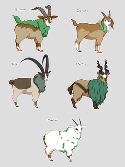 ambiguous_gender comparison feral solo species_sheet text unknown_artist nintendo pokemon bovid caprine generation_6_pokemon goat gogoat mammal pokemon_(species) english_text hi_res model_sheet multiple_images