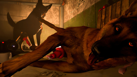 amber_eyes animal_genitalia animal_penis balls bed black_body black_fur bodily_fluids brown_body brown_fur camera canine_genitalia canine_penis claws condom cum detailed_background dildo dripping duo erection feral feral_on_feral fur furniture genital_fluids genitals inside knot knotted_penis leaking_cum legs_up looking_at_another looking_pleasured lying lying_on_bed male male/male on_bed on_side penis precum precum_drip realistic_feral red_eyes red_penis sex_toy sexual_barrier_device tail tail_motion tailwag toe_claws tongue tongue_out video_camera volumetric_lighting blodrain fallout microsoft dogmeat canid canine canis domestic_dog german_shepherd herding_dog mammal pastoral_dog 16:9 3d_(artwork) digital_media_(artwork) film_grain hi_res widescreen