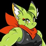 anthro breasts clothed clothed_anthro clothed_female clothing ears_up eyelashes female female_anthro fur green_body green_eyes green_fur inner_ear_fluff kerchief mouth_closed muscular muscular_anthro muscular_female pupils shirt slit_pupils solo three-quarter_view topwear tuft unknown_artist freedom_planet galaxytrail carol_tea felid feline felis mammal wildcat 1:1 bust_portrait digital_drawing_(artwork) digital_media_(artwork) portrait