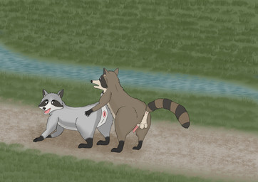 all_fours anus backsack balls bodily_fluids butt dirt dirt_path duo female feral feral_on_feral from_behind_position genital_fluids genitals grass grass_field male male/female markings mounting pattern_background penis plant precum presenting presenting_hindquarters presenting_vulva rear_view ring_(marking) ringed_tail river sex simple_background striped_markings striped_tail stripes tail tail_markings tapering_penis visible_anus vulva water tigertriesart mammal procyonid raccoon absurd_res hi_res