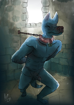anthro bdsm belt bodily_fluids bondage bound chain chained chained_to_wall collar cum dungeon erection genital_fluids genitals hands_behind_back leaking_cum leaking_precum male nude penis precum solo straps collarful bat mammal absurd_res hi_res