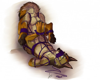 animal_genitalia arms_tied balls bdsm bondage bound brown_pawpads collar fully_sheathed genitals hands_behind_back leash leashed_collar legs_tied male male_taur muzzle_(object) muzzled pawpads paws sheath simple_background solo upside_down white_background agropuer iarann canid canid_taur canine canine_taur canis coyote coyote_taur mammal mammal_taur taur