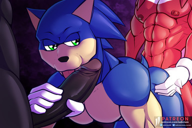 abs anal anthro clothing fellatio foreskin genitals gloves group group_sex handwear licking male muscular nipples oral penile penis penis_lick retracted_foreskin sex spitroast text threesome tongue trio iudicium86 sega sonic_the_hedgehog_(series) knuckles_the_echidna shadow_the_hedgehog sonic_the_hedgehog eulipotyphlan hedgehog mammal hi_res url