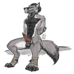 animal_genitalia animal_penis anthro athletic athletic_anthro athletic_male balls black_body black_fur black_hair canine_genitalia canine_penis collar collar_only erection fur genitals grey_body grey_fur hair hands_behind_back knot knotted_penis male male_anthro muzzle_(object) muzzled nipples nude nude_anthro nude_male penis red_penis simple_background sitting solo spread_legs spreading tail white_body white_fur i-psilone canid canine canis mammal wolf 1:1 2015