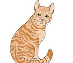 ambiguous_gender black_whiskers feral fur green_eyes orange_body orange_fur pink_nose simple_background sitting smile solo striped_body striped_fur stripes tail whiskers white_background sebdoggo warriors_(book_series) sandstorm_(warriors) domestic_cat felid feline felis mammal tabby_cat 2015 aliasing digital_drawing_(artwork) digital_media_(artwork) flat_colors full-length_portrait microsoft_paint_(artwork) portrait female_(lore)