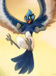 4_toes anisodactyl anthro feathers feet fist flying looking_at_viewer male open_mouth sky tail tail_feathers toes wings geckozen tallow avian bird fairywren humanoid malurid oscine passerine superb_fairywren hi_res