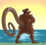 anthro anus backsack balls big_butt big_tail butt genitals long_tail male mature_male overweight overweight_male solo tail gtskunkrat mammal murid murine rat rodent hi_res