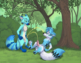 animal_genitalia animal_penis anthro balls blue_body blue_fur bodily_fluids canine_genitalia canine_penis duo erection fully_sheathed fur genital_fluids genitals grass knot knotted_penis male male/male outside paws peeing peeing_on_another peeing_on_each_other peeing_on_face peeing_on_leg peeing_outside peeing_together peeing_while_erect penis plant sheath sitting sitting_on_ground standing tail tree urine urine_on_face urine_on_leg urine_stream watersports dishka canid canine fox mammal hi_res