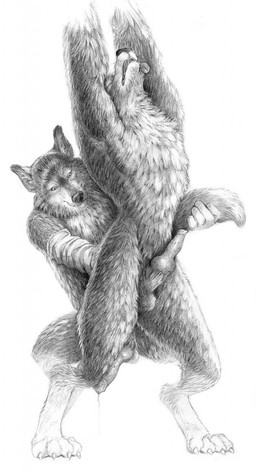 4_toes 5_fingers anal animal_genitalia anthro balls black_nose canine claws duo eyes_closed fisting fur knot male mammal monochrome open_mouth penis plain_background precum raised_arm standing toes tongue tongue_out tuft vein veiny_penis white_background wolf
Rating: Explicit
Score: 7
User: israfell
Date: December 14, 2014 4_toes 5_fingers anal animal_genitalia anthro balls black_nose canine claws duo eyes_closed fisting fur knot male mammal monochrome open_mouth penis plain_background precum raised_arm standing toes tongue tongue_out tuft vein veiny_penis white_background wolf
Rating: Explicit
Score: 7
User: israfell
Date: December 14, 2014