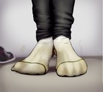 anthro claws clothing feet footwear grime male paws rank smell smelly socks solo tops unwashed muffinvinvin canid canine canis domestic_dog fox mammal wolf absurd_res hi_res