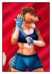 2019 5_fingers abananaman anthro athletic athletic_anthro athletic_female bandage blue_eyes border bottomwear boxing bra brown_body brown_fur brown_nose canid canine canis cheek_tuft claws clothing collie conditional_dnp domestic_dog eyebrows eyelashes facial_tuft female finger_claws fingers floppy_ears fur hand_wraps herding_dog hi_res mammal midriff navel neck_tuft pastoral_dog red_background rough_collie sheepdog shorts simple_background smile solo sport sports_bra stacy_(grimsilverfire) teeth tuft underwear white_border wraps