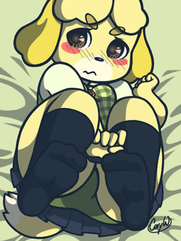 anthro blonde_hair blush clothed clothing feet female footwear hair legwear looking_at_viewer panties socks solo stockings underwear upskirt cory_w animal_crossing nintendo isabelle_(animal_crossing) canid canine canis domestic_dog mammal shih_tzu toy_dog source_request