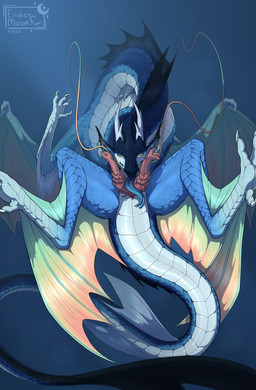 2_penises animal_genitalia animal_penis barbel_(anatomy) blue_body blue_scales blue_tongue claws cloaca cloacal_penis erection feral finger_claws forked_tongue genitals hemipenes long_neck long_torso looking_at_viewer male membrane_(anatomy) membranous_wings multi_genitalia multi_penis penis scales solo spread_legs spreading tail toe_claws tongue tongue_out underwater water wings yellow_eyes endermoonfur mythology tyhmm_(feather_stride) aquatic aquatic_dragon dragon eastern_dragon mythological_creature mythological_scalie scalie 2026 dated hi_res