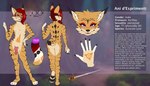 5_fingers anthro balls biped claws countershade_face countershade_fur countershade_torso countershading eyewear fingers fur genitals glasses hair inner_ear_fluff male penis purple_eyes solo tail text tuft spoonycatt ani_d'esprimenti_(ghostlupe) eurasian_lynx felid feline lynx mammal 2024 english_text hi_res model_sheet