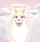 blue_eyes female feral fur halo heaven simple_background smile solo speech_bubble tongue kaze~inu nirah_(feral_frenzy) angel canid canine celestial_being fox mammal digital_media_(artwork) headshot_portrait hi_res portrait