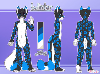 anthro black_body black_fur black_hair blue_body blue_eyes blue_fur dipstick_ears ear_markings featureless_crotch front_view fur gesture glistening glistening_eyes hair looking_at_viewer male male_anthro markings mouth_closed multicolored_ears nude open_mouth rear_view short_hair side_view simple_background solo spots spotted_arms spotted_back spotted_legs spotted_markings spotted_tail standing tail tail_markings waving waving_at_viewer white_body white_fur riddlr winter_(krakenfox) felid mammal hi_res model_sheet signature