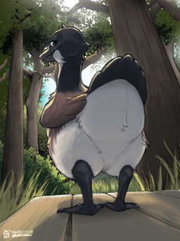 ambiguous_gender avian_butt biped black_body black_feathers blush brown_body brown_feathers butt day detailed_background feathers feral forest green_eyes light logo looking_at_viewer looking_back looking_back_at_viewer low-angle_view nature nature_background outside plant pose presenting presenting_hindquarters rear_view solo standing sunlight text tree white_body white_feathers creature_features dynabird anatid anseriform anserine avian bird canada_goose goose 3:4 artist_logo artist_name digital_drawing_(artwork) digital_media_(artwork) english_text full-length_portrait hi_res pinup portrait