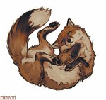 ambiguous_gender black_nose brown_body brown_fur claws feral fur looking_at_viewer lying on_back pawpads paws quadruped simple_background solo white_background white_body white_fur yellow_sclera akreon canid canine fox mammal red_fox true_fox 2020 digital_media_(artwork)