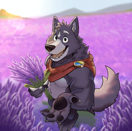 anthro blue_bottomwear blue_clothing bottomwear bouquet cape clothing day flower flower_field holding_bouquet holding_flower holding_object lavender_(flower) lavender_field male offering_hand outside plant red_cape red_clothing solo tail kaleumink adastra adastra_(series) echo_project amicus_(adastra) canid canine canis mammal wolf hi_res