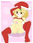 2016 animal_crossing anthro balls biped black_nose blonde_hair blush breasts brown_eyes canid canine canis christmas clothed clothing conditional_dnp crossgender dashboom domestic_dog erection fur genitals glans gynomorph hair hat headgear headwear hi_res holidays holly_(plant) humanoid_genitalia humanoid_penis intersex isabelle_(animal_crossing) legwear mammal nintendo nipples partially_clothed penis pink_background pink_nipples plant shih_tzu shirt simple_background solo stockings tongue tongue_out topwear toy_dog yellow_body yellow_fur