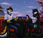 anthro beverage clothed clothing day duo female food heterochromia male outside side_view sitting sky smile tail elvofirida dryden_teichmann elvofirida_(character) canid canine domestic_cat felid feline felis fox jex mammal