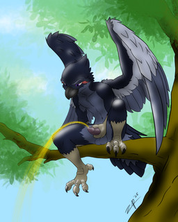 anthro balls black_body black_feathers bodily_fluids branch claws erection feathers genital_fluids genitals grey_body grey_feathers gripping_penis hand_on_penis male masturbation nude outside peeing penis plant purple_eyes sitting_on_tree_branch solo spread_wings toe_claws tree urine urine_stream watching_from_afar watersports white_body white_feathers wings zephyrpanthur avian bird corvid corvus_(genus) oscine passerine raven hi_res