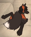 bedroom_eyes black_hair brown_body brown_fur female fur furniture hair inside looking_at_viewer lying narrowed_eyes nude orange_body orange_fur paws seductive sofa solo tongue yellow_eyes blokfort vuxli_(blokfort) canid canine fox mammal 2024 hi_res