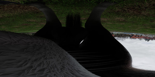 animal_genitalia animal_penis anthro anthro_penetrated balls bestiality big_balls brown_body duo equine_genitalia equine_penis fellatio_pov feral feral_penetrating field first_person_view fish_eye_view fur genitals grass grey_body hooves light male male/male oral oral_penetration outside penetration penis photo_background plant realistic realistic_feral sky sunlight tail touchmybelch calixto_(modeler) fenrirsrevenge9_(modeler) the_witcher dennis_(calixto) roach_(the_witcher) canid canine canis equid equine horse mammal wolf 2:1 3d_(artwork) 3d_animation animated blender_(artwork) digital_media_(artwork) hi_res high_framerate loop no_sound photography_(artwork) short_playtime webm