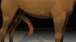 anatomically_correct anatomically_correct_genitalia anatomically_correct_penis animal_genitalia animal_penis balls becoming_erect belly_slapping equine_genitalia equine_penis erection feral flared_penis genitals male male_feral medial_ring penis presenting presenting_penis quadruped realistic_feral solo boneapplebee draft_horse equid equine horse mammal 16:9 3d_(artwork) 3d_animation animated digital_media_(artwork) hi_res no_sound short_playtime webm widescreen