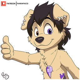 anthro black_hair black_nose closed_smile ear_piercing ear_ring front_view fur gesture glistening glistening_eyes hair hand_gesture heterochromia jewelry logo looking_at_viewer male messy_hair mouth_closed necklace nude patreon_logo piercing purple_eyes red_eyes ring_piercing short_hair simple_background smile solo tan_body tan_fur thumbs_up white_background young young_anthro young_male pandapaco patreon canid canine canis domestic_dog mammal 1:1 artist_logo signature