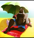 4_toes 5_fingers anthro arm_tuft barefoot beach beach_umbrella belly beverage beverage_can black_bars black_belly black_body black_chest black_ears black_face black_fur black_hands black_legs black_nose black_tail blue_bottomwear blue_clothing blue_pants blue_shorts bottomwear clothed clothing collar container dipstick_tail eyewear eyewear_on_head feet fingers fluffy fluffy_tail fur grey_arms grey_body grey_fur holding_object humanoid_hands light long_tail male markings multicolored_body multicolored_face multicolored_fur multicolored_tail muscular muscular_male orange_eyes outside overweight overweight_male pants parasol paws pecs sand sea seaside shorts shoulder_tuft sky smile solo sunglasses sunglasses_on_head sunlight swimming_trunks swimwear tail tail_markings toes towel tuft two_tone_body two_tone_face umbrella water white_tail_tip myrisdraws rygel_misra canid canine canis fox mammal red_fox silver_fox true_fox colored digital_media_(artwork) hi_res letterbox