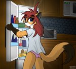 anthro appliance clothing female fridge hair kitchen_appliance microwave_oven panties pink_clothing pink_panties pink_underwear shirt solo topwear underwear jknewlife sara_aria canid canine fox mammal hi_res