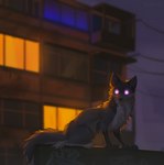 bright_eyes city city_background female feral fluffy fluffy_tail fur grey_body grey_fur night purple_eyes solo tail whiskers hioshiru hioshiru_(character) canid canine canis enfield hybrid mammal wolf 2023