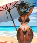 anthro arm_tuft beach beach_umbrella big_breasts bikini bikini_bottom black_bikini black_bikini_bottom black_bikini_top black_clothing black_swimwear bodily_fluids breasts brown_body brown_fur brown_hair clothed clothing day elbow_tuft eyewear female female_anthro fur glasses hair hip_tuft looking_at_viewer multicolored_body multicolored_fur open_mouth outside parasol round_glasses sea seaside small_waist smile solo sunglasses swimwear tail thigh_gap tuft two-piece_swimsuit water wearing_glasses stelladraco canid canine mammal absurd_res digital_media_(artwork) hi_res portrait three-quarter_portrait