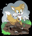 2_tails 4_toes 5_fingers anthro blue_eyes cheek_tuft clothing disgusted_face facial_tuft feet fingers gloves grass handwear male mud multi_tail paws plant puddle shoe_loss solo tail toes tongue tongue_out tuft finimun sega sonic_the_hedgehog_(series) miles_prower canid canine fox mammal 2017