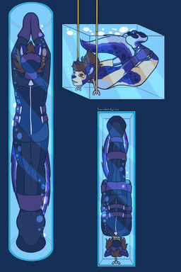 ambiguous_gender arms_tied asphyxiation bdsm bdsm_outfit belt belt_bondage blindfold blue_body blue_fur bodysuit bondage bound brown_eyes brown_hair bubble clothing collar drowning earplugs fur hair handwear hogtied long_term_bondage markings mask mittens nude peril pulley restraints rope rope_bondage sensory_deprivation skinsuit solo spots spotted_markings tight_clothing underwater upside_down water sandentwins smidges_(sandentwins) animal_humanoid humanoid mammal mammal_humanoid rodent rodent_humanoid sciurid sciurid_humanoid tree_squirrel_humanoid hi_res trans_(lore) trans_man_(lore)