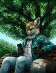 anthro bench black_nose cellphone container cup day detailed_background dipstick_tail electronics holding_cellphone holding_container holding_cup holding_object holding_phone light male markings multicolored_tail outside phone plant sitting smile solo tail tail_markings tree whiskers kippycube canid canine fox mammal 2020 detailed lighting