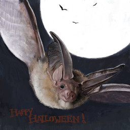 big_ears black_eyes brown_body brown_fur feral flying full_moon fur holidays moon night renum63 halloween bat mammal 1:1 2013