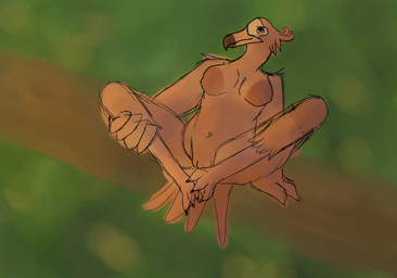 anthro areola big_areola feathers female hand_on_leg log pink_body pink_feathers solo spread_legs spreading wood nauiho anosia avian bird flamingo absurd_res hi_res