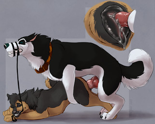 4_toes all_fours ambiguous_fluids animal_genitalia animal_penis animal_vulva ass_up black_body black_fur black_hair black_nose blue_nose bodily_fluids brown_body brown_fur canine_genitalia canine_penis canine_vulva collar cum cum_in_vagina cum_inside cutaway doggystyle duo ears_back erection eyes_closed feet female female_penetrated feral feral_on_feral from_behind_position fur genital_fluids genitals hair half-closed_eyes inaccurate_knotting knot knotting leash leashed_top male male/female male_penetrating male_penetrating_female multicolored_body multicolored_fur muzzle_(object) muzzled narrowed_eyes penetration penile penile_penetration penis penis_in_vagina pivoted_ears power_bottom red_penis sex sharp_teeth side_view simple_background standing tail teeth toes two_tone_body two_tone_fur vaginal vaginal_fluids vaginal_knotting vaginal_penetration vein vulva white_body white_fur marjani balto_(series) universal_studios raven_(psy101) steele_(balto) alaskan_malamute canid canine canis domestic_dog german_shepherd herding_dog mammal nordic_sled_dog pastoral_dog spitz 2018 hi_res