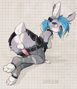 3_toes accessory all_fours anthro anus arched_back armwear backsack balls big_ears blue_hair blush bottomwear bow_ribbon breasts butt chain chest_tuft clothed clothing collar ear_piercing ear_ring erection eyeliner feet fishnet_clothing fishnet_legwear fur genitals glans grey_body grey_fur gynomorph hair hair_accessory hair_bow hair_ribbon humanoid_genitalia humanoid_penis intersex leggings legwear looking_at_viewer makeup nipples no_underwear partially_clothed penis perineum piercing pink_nipples pink_penis presenting presenting_hindquarters ribbons ring_piercing scut_tail short_tail skirt soles solo tail thick_thighs toeless_legwear toes torn_clothing torn_leggings torn_legwear tuft upskirt white_hair wide_hips waspsalad izzy_skye lagomorph mammal hi_res