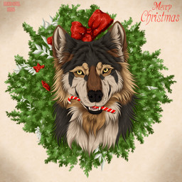 ambiguous_feral ambiguous_gender black_nose candy candy_cane candy_cane_in_mouth cheek_tuft christmas_decorations dessert facial_tuft fangs feral food front_view fur grey_body grey_fur looking_at_viewer neck_tuft open_mouth solo tan_body tan_fur teeth tuft yellow_eyes msdeadsoul taki_(taki-wolf) canid canine canis mammal wolf 1:1 2024 dated hi_res
