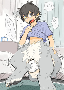 anthro blue_clothing blue_shirt blue_t-shirt blue_topwear bodily_fluids brown_eyes brown_hair claws clothing ear_growth fluffy fur fur_growth grey_body grey_fur growth hair heterochromia human_to_anthro inner_ear_fluff interrobang male mid_transformation navel paws sharp_teeth shirt short_hair solo species_transformation sweat t-shirt tears teeth text toe_claws topwear transformation tuft yellow_eyes juutton canid canine canis human mammal wolf absurd_res hi_res japanese_text translation_request