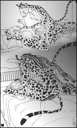 anthro anvil_position bed black_border border breasts butt cowgirl_position duo eye_contact female female_on_top female_penetrated from_front_position furniture genitals hand_holding legs_up looking_at_another lying male male/female male_on_bottom male_penetrating male_penetrating_female multiple_positions nipples nude on_back on_bottom on_top penetration pillow romantic romantic_couple sex straddling vulva jonas-pride cheetah felid feline king_cheetah mammal 2014 monochrome