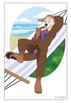 anthro beach book border flaccid genital_piercing genitals hammock male pawpads paws penis penis_piercing piercing prince_albert_piercing raised_arm reading reading_book reclining solo white_border floyote mammal mustelid otter sea_otter hi_res