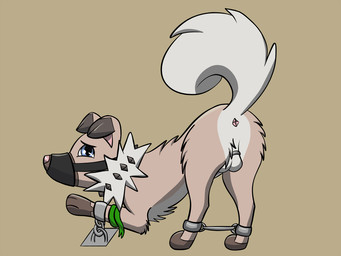 anus balls bdsm bondage bound butt chastity_cage chastity_device cuff_(restraint) feral genitals looking_at_viewer male muzzle_(object) muzzled presenting presenting_hindquarters raised_tail restraints shackles solo spreader_bar submissive submissive_male tail stomak_(artist) nintendo pokemon generation_7_pokemon pokemon_(species) rockruff 4:3