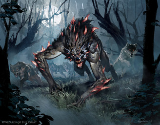 ambiguous_gender angry brown_body brown_fur feral forest full_moon fur glowing glowing_eyes grass grey_body grey_fur group moon night open_mouth outside plant running sharp_teeth snarling standing tail teeth tree 88grzes hasbro magic:_the_gathering mythology wizards_of_the_coast canid canine canis mammal mythological_canine mythological_creature werecanid werecanine werecreature werewolf wolf hi_res official_art